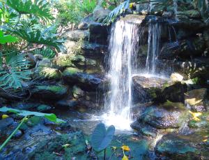 tropical waterfall MGD©